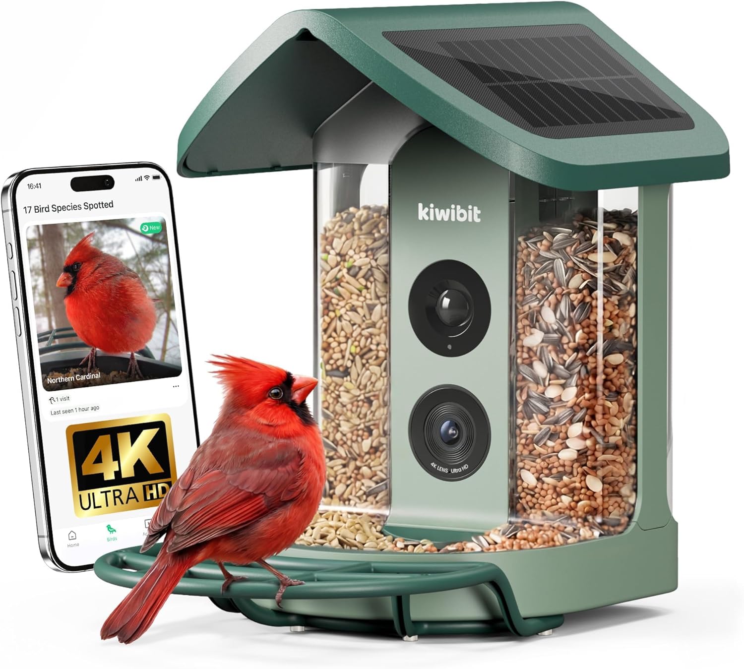 Solar Smart Bird Feeder with Camera, 4K HD Bird Feeder for Outdoors | AI Bird Species Identification, Wild Bird Feeder Camera, Live Video, 8MP Photos, Bird Watching Gift for Bird Lovers, Green